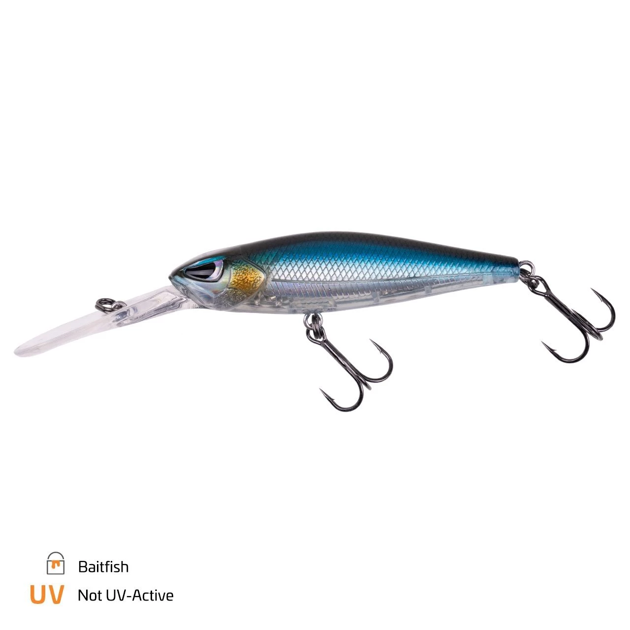 Baitfish