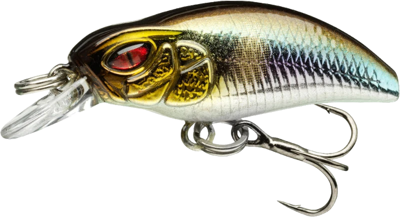 Ayu