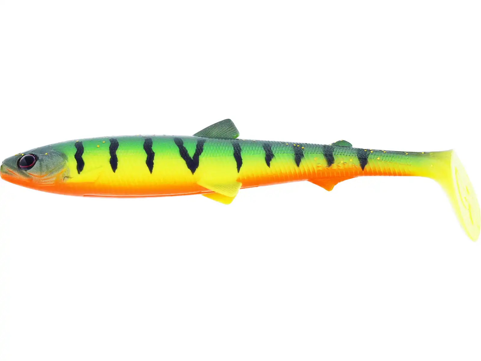 Tiger Perch