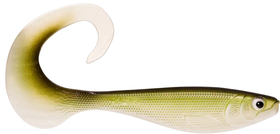 Minnow