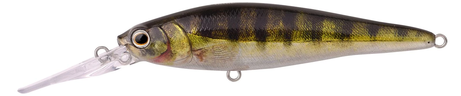 Zander