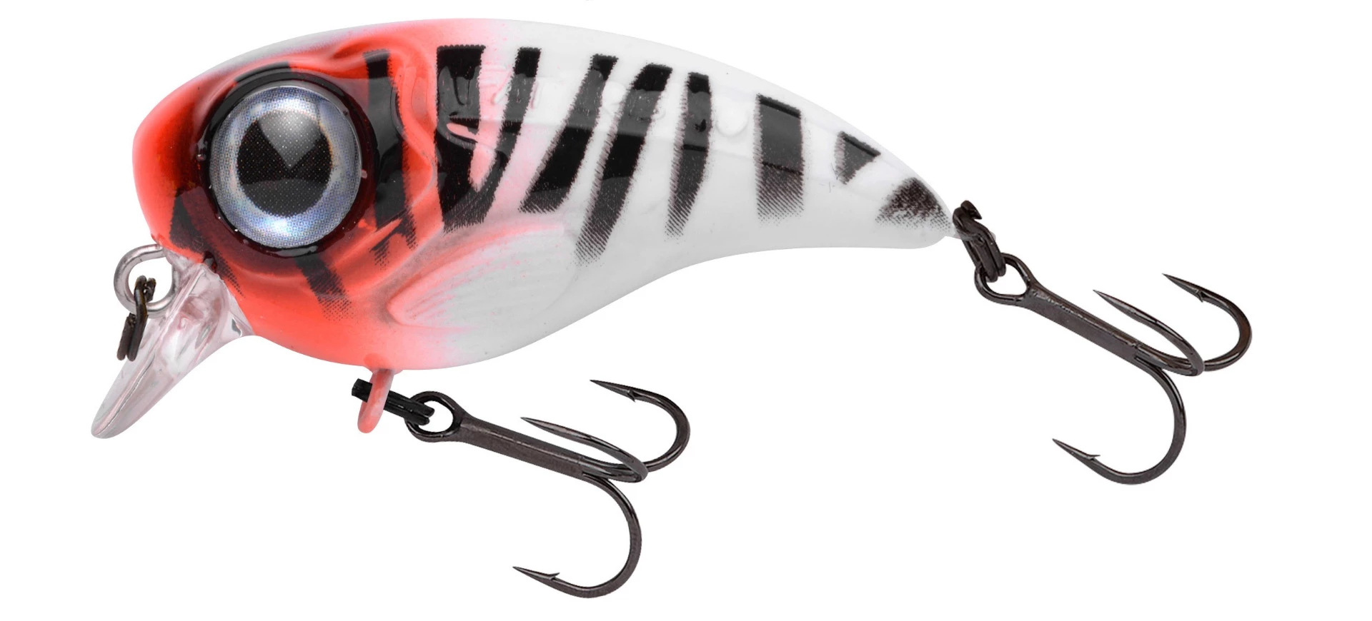 RH Tiger