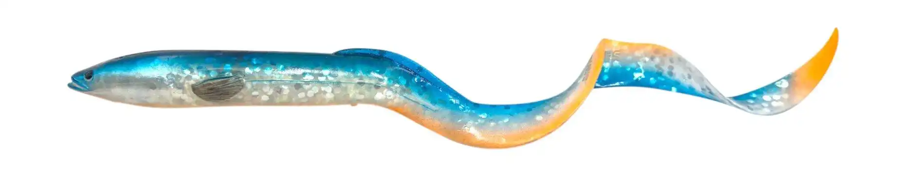 Blue Fegis Eel