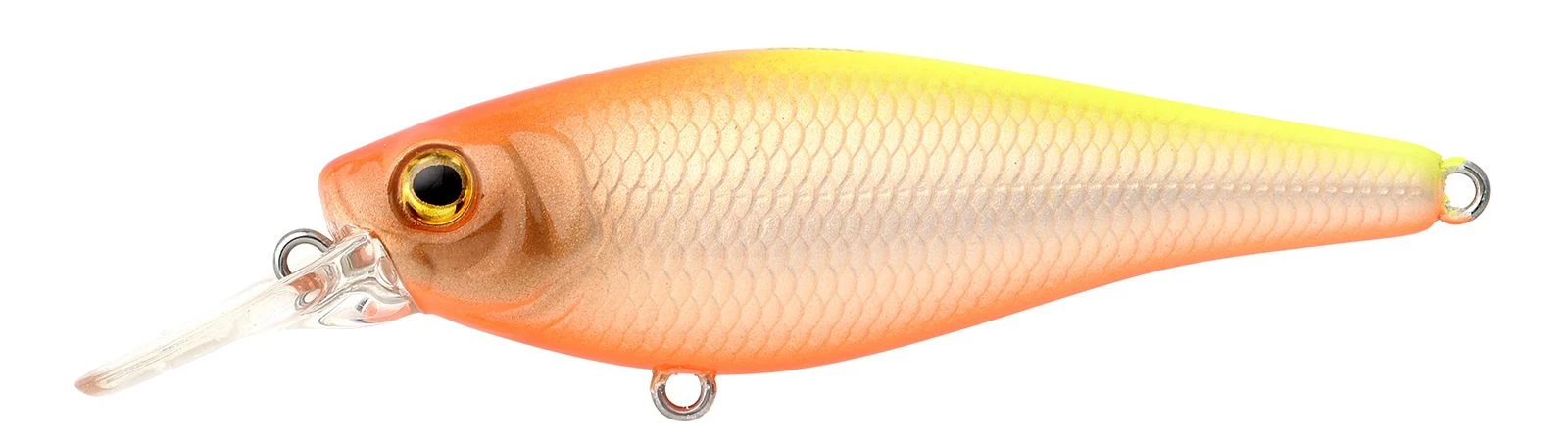 Chartreuse Back