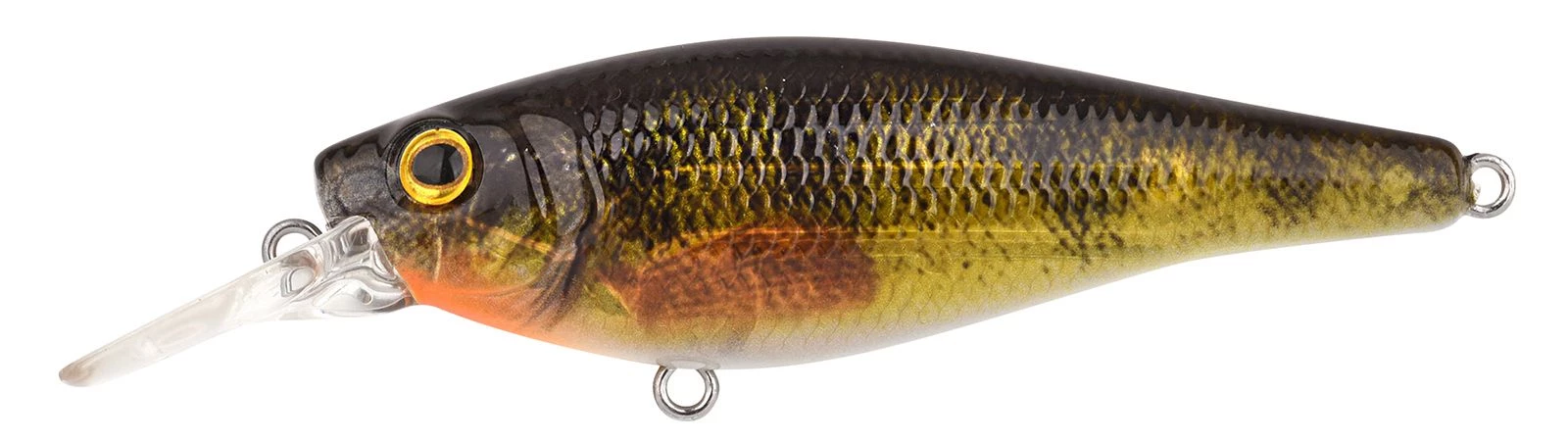 Perch