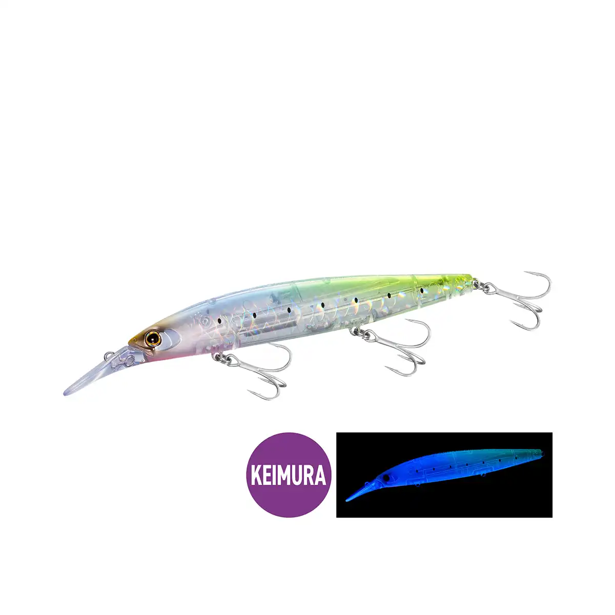 008 Tr Sardine