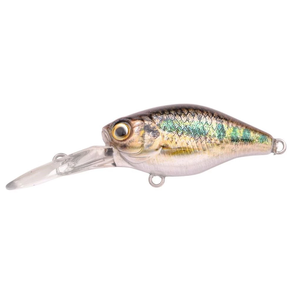 Gudgeon
