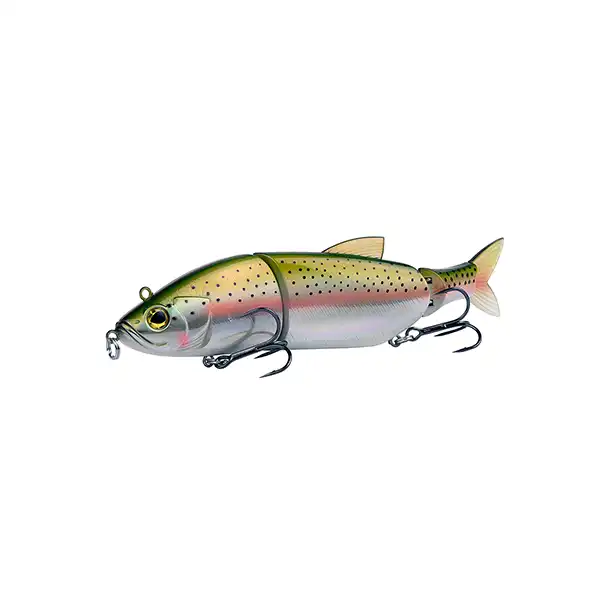 Rainbow Trout