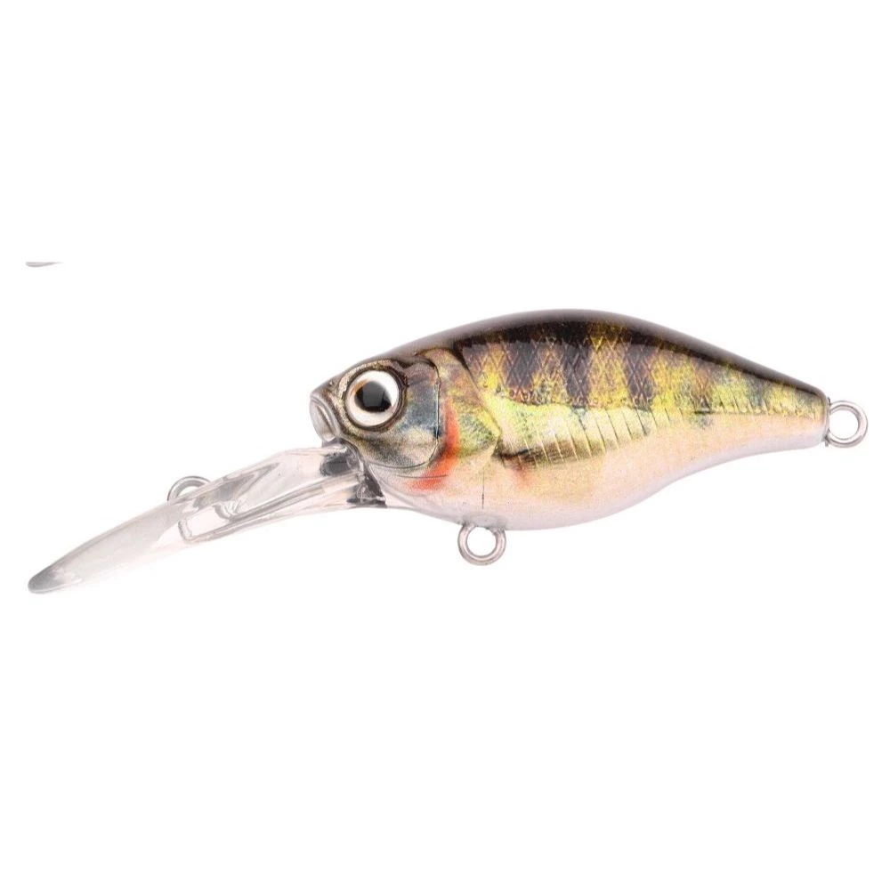 Zander