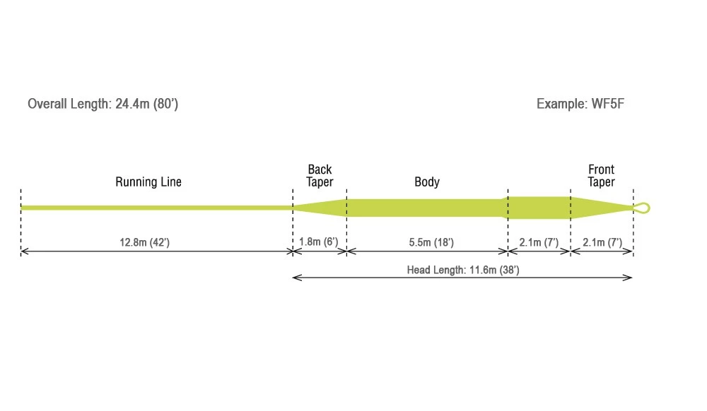 RIO Mainstream Fliegenschnur WF #8 schwimmend WF Lemon Green