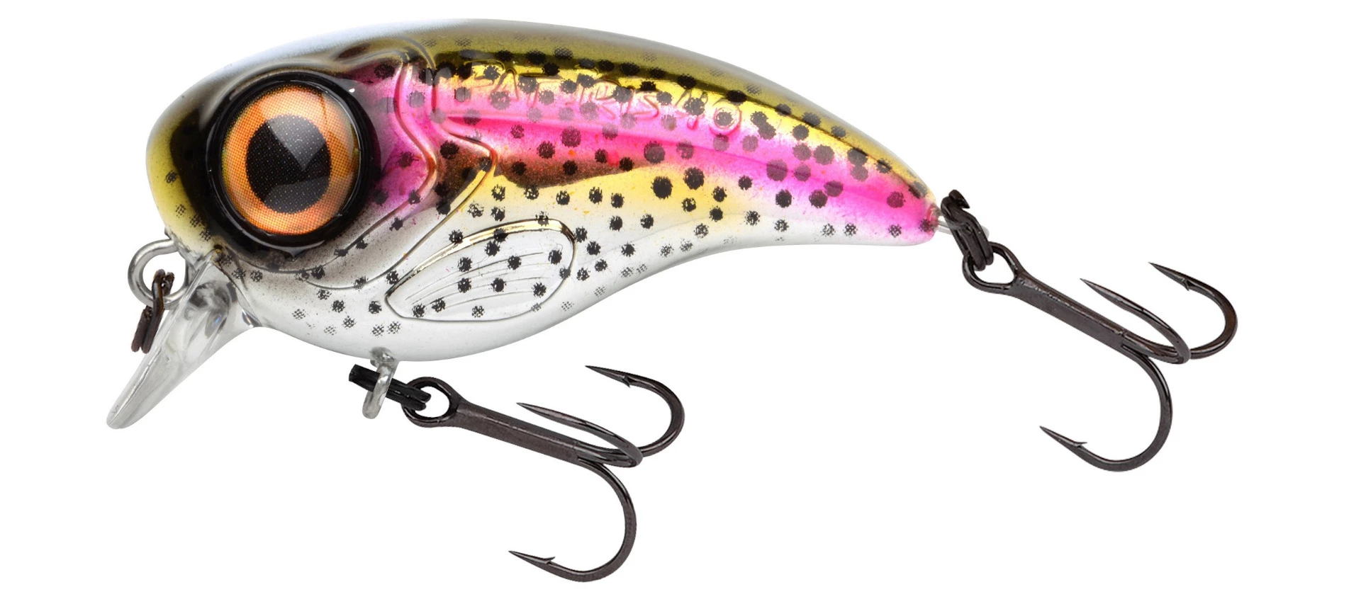 Rainbow Trout