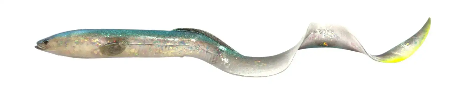 Chameleon Eel