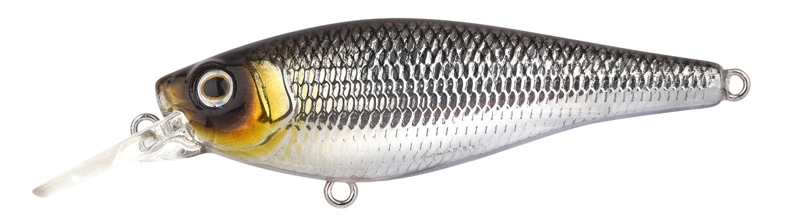 Pompano