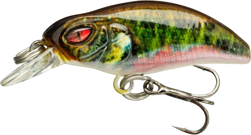 Live Minnow
