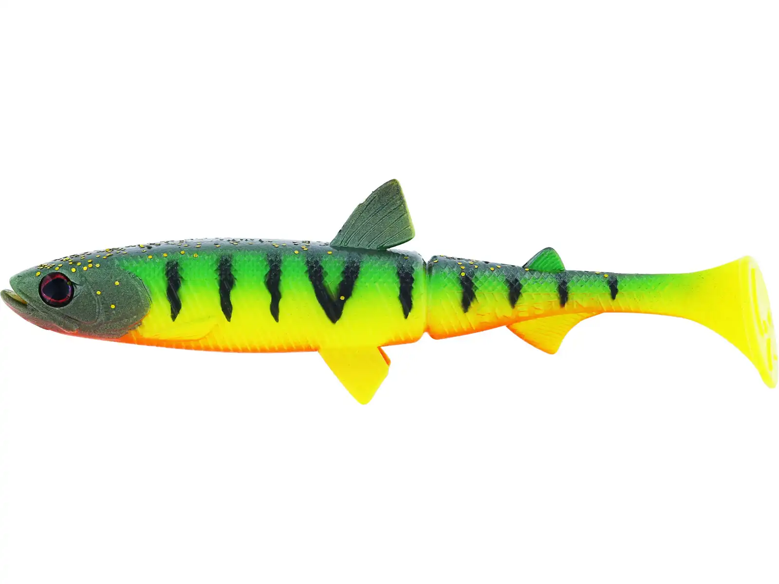 Tiger Perch