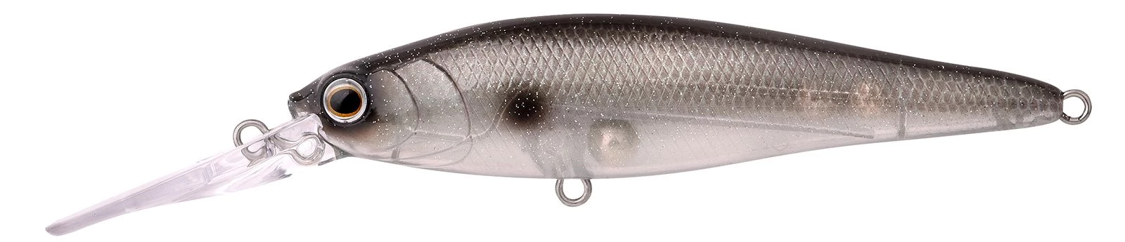 Sardine